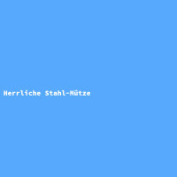 Herrliche Stahl-Mütze