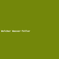 Weicher Wasser-Teller