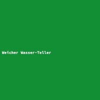 Weicher Wasser-Teller