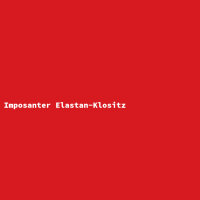 Imposanter Elastan-Klositz