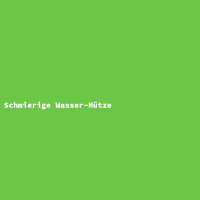 Schmierige Wasser-Mütze